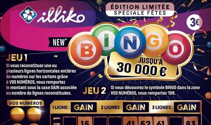 aperçu du nouveau ticket Bingo FDJ 2024